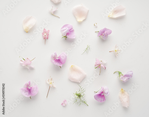 Pattern of flowers and petals on a white background