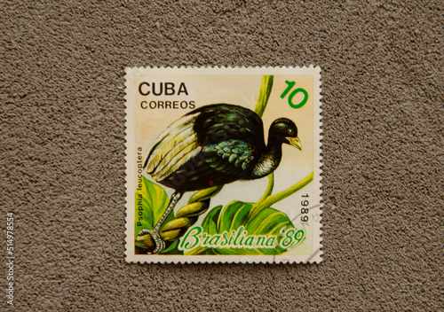 CUBA correos 1989, A stamp printed in Cuba depicts an exotic bird, the pale-winged trumpeter Psophia leucoptera photo
