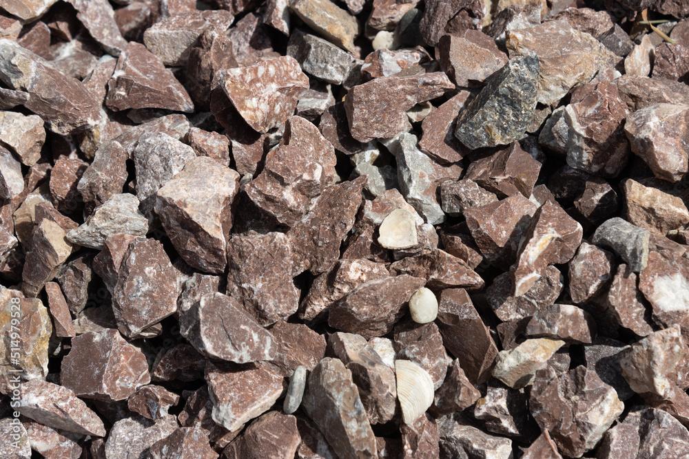 Garden center. Gardening, shop. Landscape design. Stones. Garden center. Gardening, shop. Landscape design. Stones.