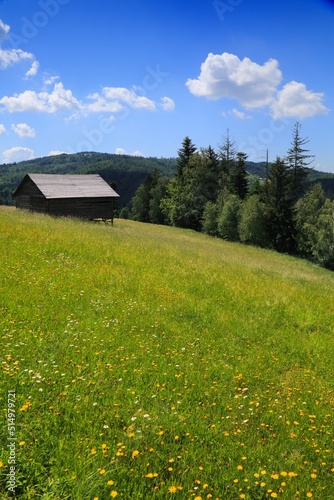 Fototapeta Naklejka Na Ścianę i Meble -  Mountain meadow in Beskidy, Poland