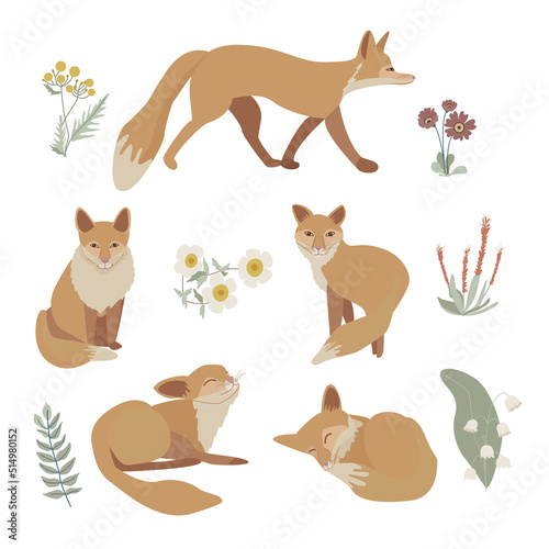 Scandinavian style fox and floral set isolated © Julija