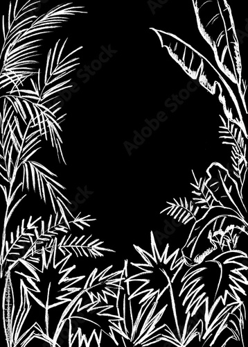 The frame in the form of tropical plants is white on a black background