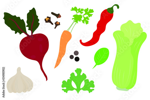Set of vegetables - carrots, beets, parsley, lettuce, garlic, hot pepper, spinach.