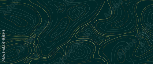 Seamless mountain topographic map background vector. Gold and luxury wallpaper design for wall arts, fabric , packaging , web, banner, app, wallpaper