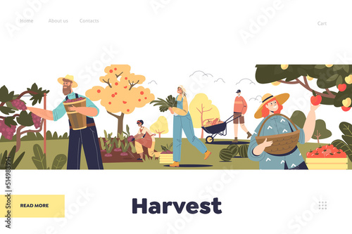 Harvest concept of landing page with autumn harvesting on farm. Farmers pick fruits and vegetables