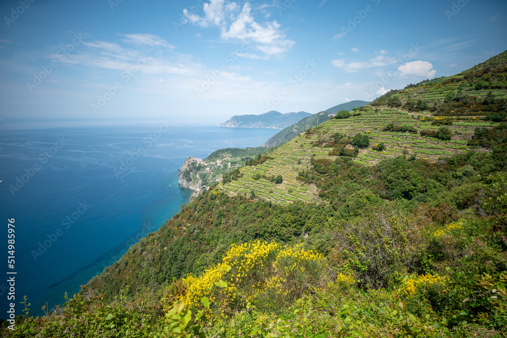 Beautiful 5 Terre landscape in Italy. Coastline and mountains covered in Vineyards. Popular tourist destination in Italy, Cinque Terre Beautiful 5 Terre landscape in Italy. Coastline and mountains covered in Vineyards. Popular tourist destination in Italy, Cinque Terre