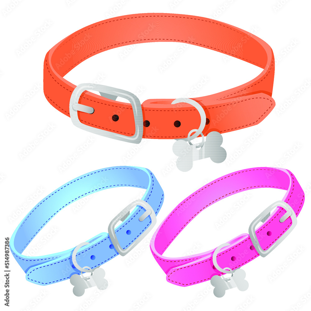 Set of dog collars in different colors and bone pendants Set of dog collars in different colors and bone pendants