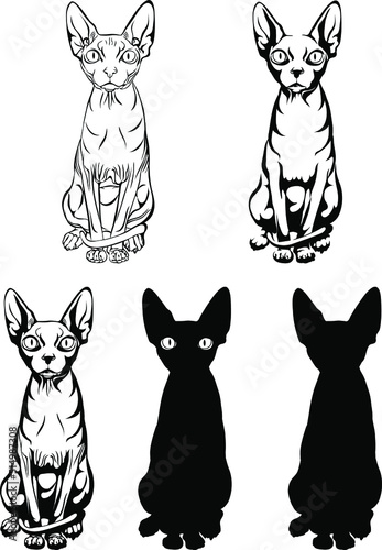 image of a cat, Sphynx cat, portrait, figure, illustration, set, white, black, isolated, simple, icon, art
