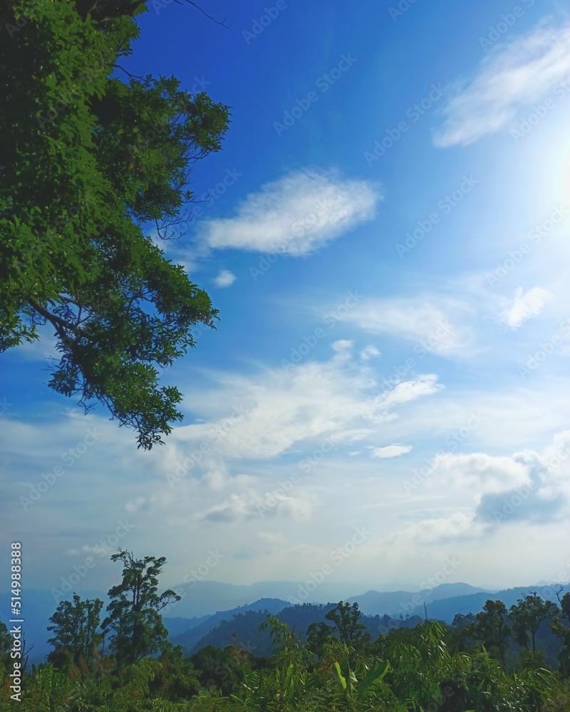 Fototapeta premium sky of sky in my world