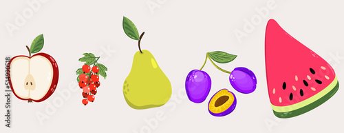 Vector collection of various sweet fruits on light background  apple  red currant  pear  plums and slice of watermelon.