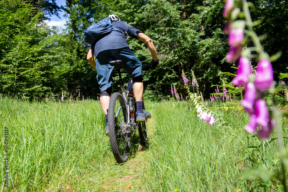 Naklejka premium Mountainbiker unterwegs im Wald