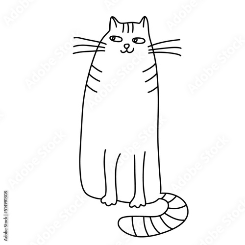 Sitting sly cat  in doodle style.  Hand drawn vector illustration. Isolated black outline.