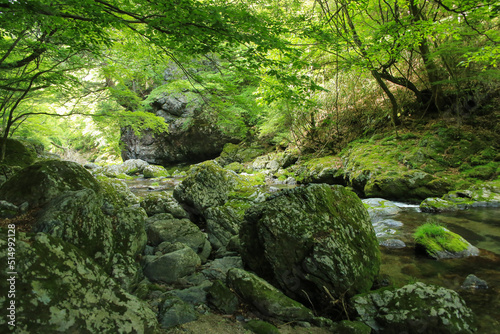 愛媛県内子町　小田深山渓谷の風景 © setsuna