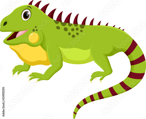 Cute iguana cartoon isolated on white background © ROFIDOHTUL
