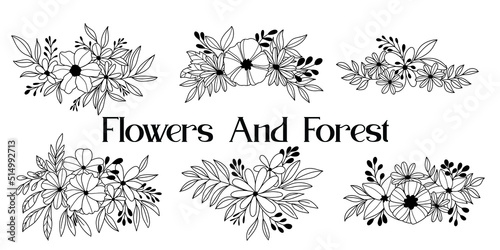 collection forest fern eucalyptus art foliage natural
leaves herbs inline style. Decorative beauty, elegant illustration 
Vector Flower Botanical