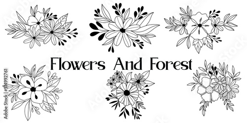 collection forest fern eucalyptus art foliage natural
leaves herbs inline style. Decorative beauty, elegant illustration 
Vector Flower Botanical