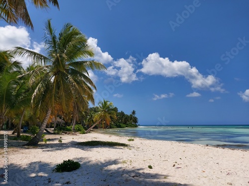 Fototapeta Naklejka Na Ścianę i Meble -  Beach with palm trees