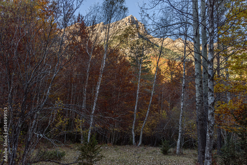 Fototapeta premium Spain