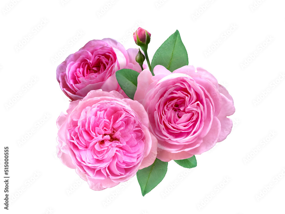 Pink Rose Flower arrangement Pink Rose Flower arrangement