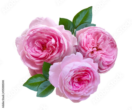Pink Rose arrangement