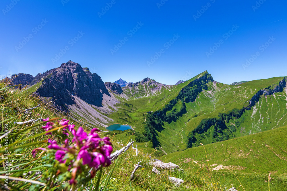 Tannheimer Tal - Alpen - Lache - See - Alpenrosen