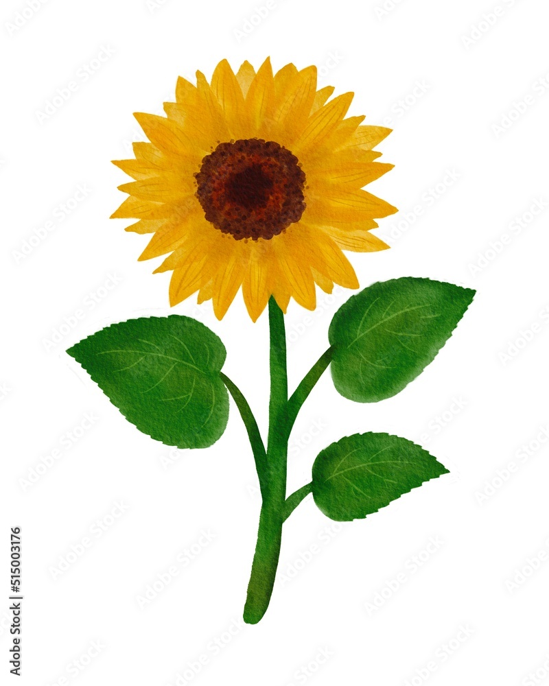 Obraz premium ひまわりの花のイラスト