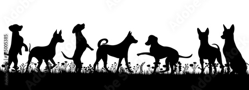dogs playing black silhouette isolated, vector