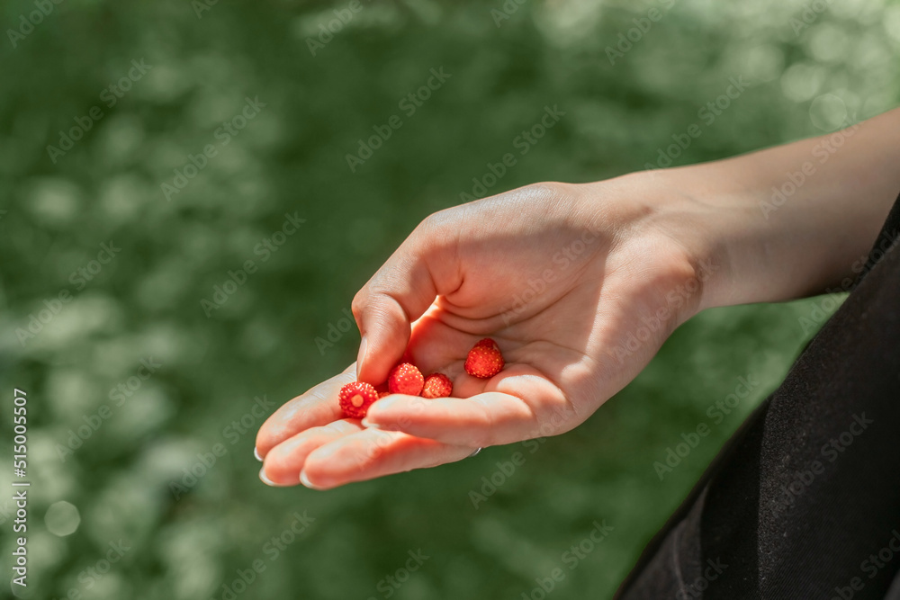 Red wild strawberries on the palm of a young girl on the background of green bokeh green grass forest. Red wild strawberries on the palm of a young girl on the background of green bokeh green grass forest.