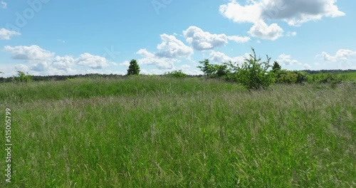 Video-Überflug mit einer Drohne über einer Wiese