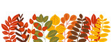 autumn leaves background in flat design isolated , vector