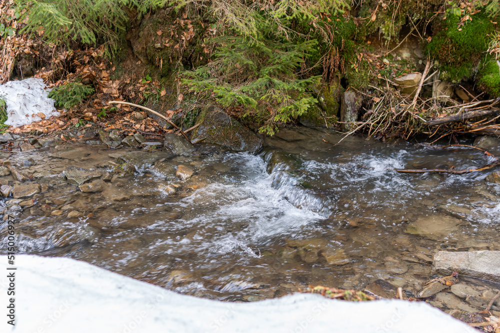 A little cold and snowy babbling stream, brook in the wild nature in the forest, outdoors A little cold and snowy babbling stream, brook in the wild nature in the forest, outdoors