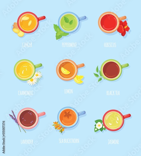 Tea type top view. Cups various chai hot fruit beverages, desk teacup drink teas flowers animation toppings flavor ingredients ginger mint flavor drinktop, neat vector illustration