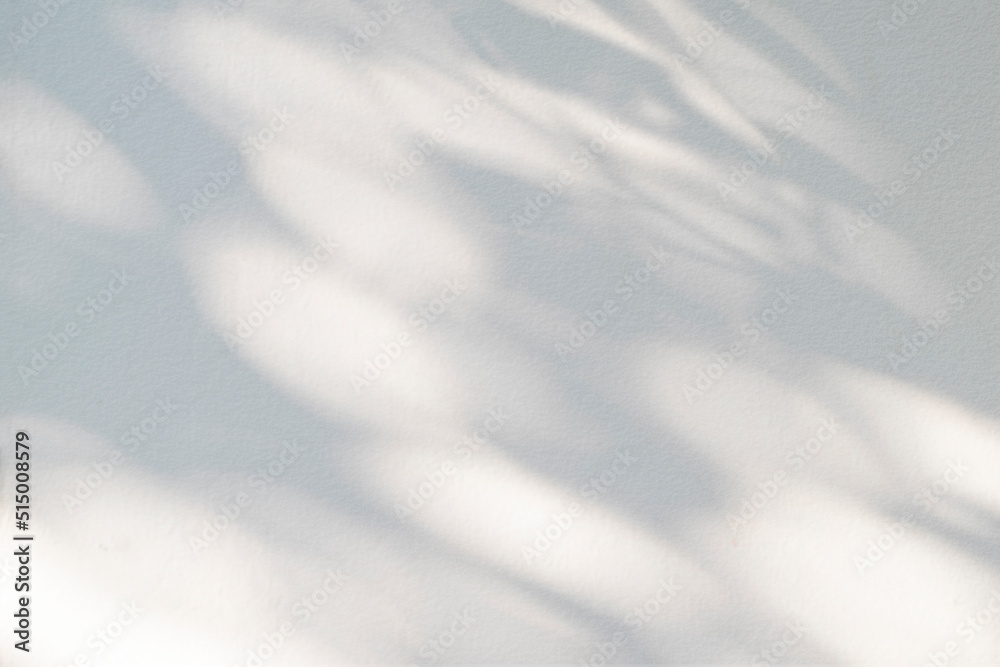Abstract light shadow of leaf blurred background. Natural diagonal leaves tree branch shadows and sunlight on white wall. Shadow overlay effect foliage mockup Abstract light shadow of leaf blurred background. Natural diagonal leaves tree branch shadows and sunlight on white wall. Shadow overlay effect foliage mockup
