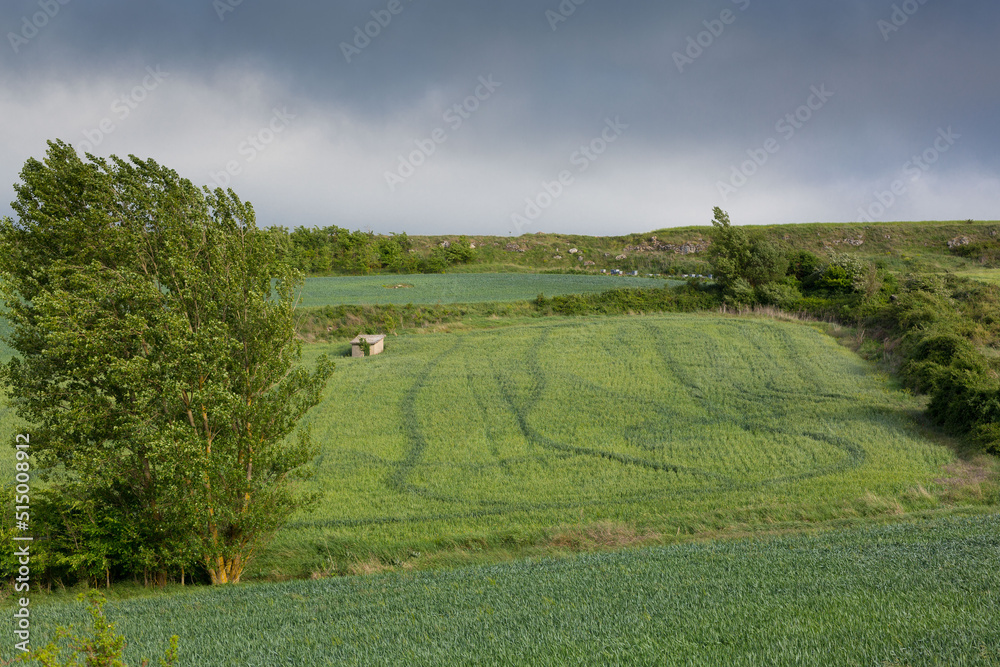 Green landscapes of Castilla, Spain in spring, pilgrims' passage area at the entrance to the city of Burgos.