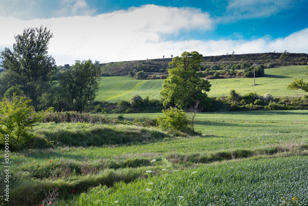Fields of Castile, Spain in Spring, near the city of Burgos.