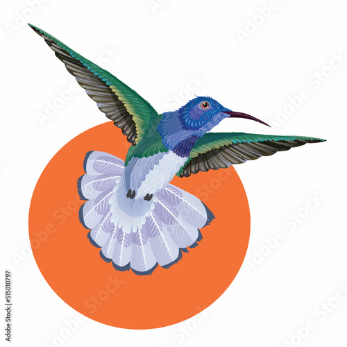 small bird, caliber with spread wings, isolated object on a white background, vector illustration,