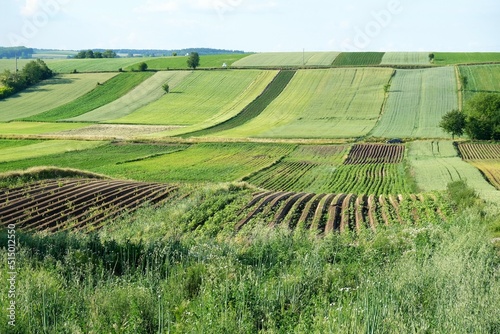 Colorful fields on hills around Kazimierza Wielka, Poland, Ponidzie, Swietokrzyskie photo