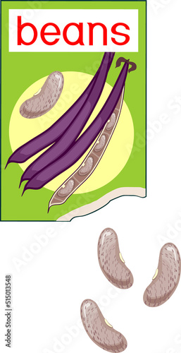Open sachet with purple bean plant seeds isolated on white background