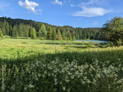 Overview of Genin Lake in Oyonnax, France - June 2022