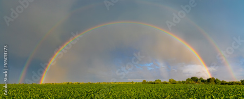 Panorama of whole double rainbow in summer cloudy sky over a green cornfield after rain for wide banner and ecological concept. photo
