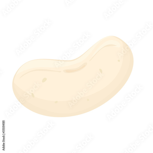 White kidney beans isolated on white background. Vector illustration of vegetable