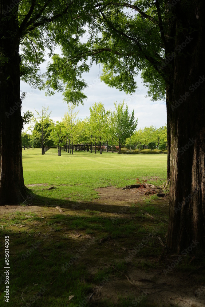 Obraz premium 公園