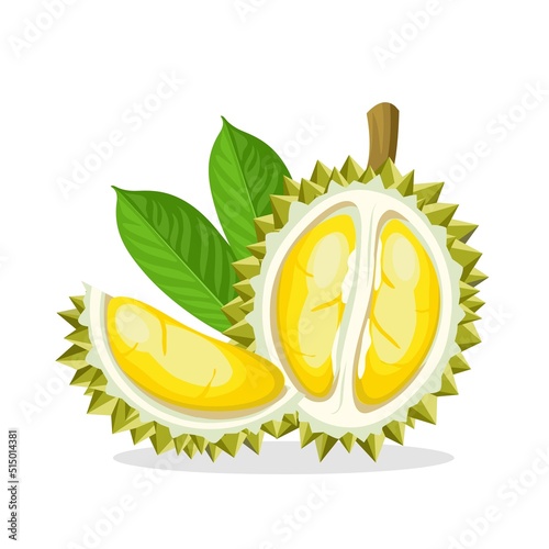 Vector illustration of a durian fruit, isolated on a white background.