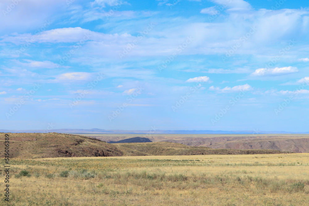 hilly dry steppe desert. beautiful dry landscape