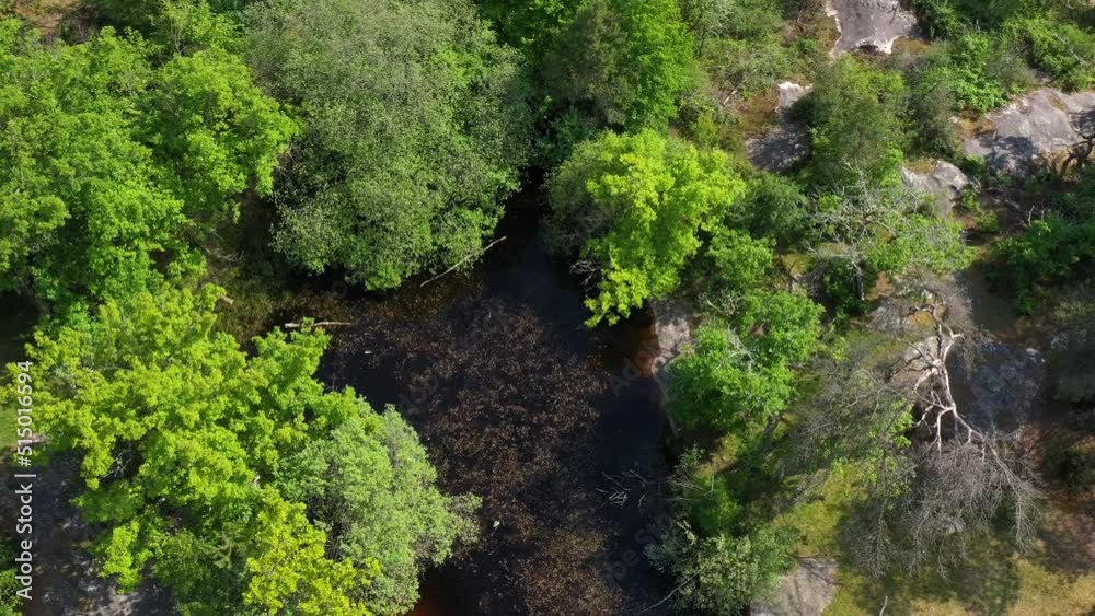 aerial view on a pond in the forest of Fontainebleau aerial view on a pond in the forest of Fontainebleau