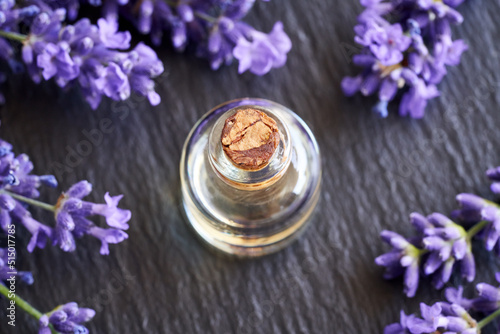 A bottle of essential oil with fresh blooming lavender