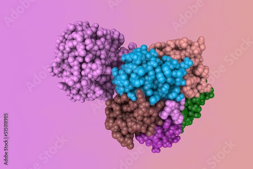 Shiga toxin produced by bacteria Shigella dysenteriae. Space-filling molecular model. Rendering with differently colored protein chains based on protein data bank. 3d illustration photo