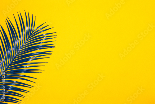 blue palm leaf on the left side of the yellow background, creative tropical design, copy and product space, exotic summer design