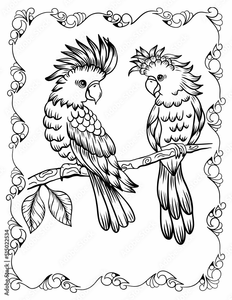 Two parrots coloring book page with birds, black line art isolated on white background Stock ...