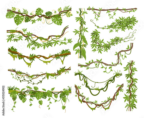 Foto Cartoon jungle liana plants, tropical climbing creepers branches